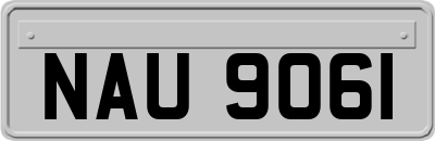 NAU9061