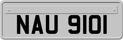 NAU9101