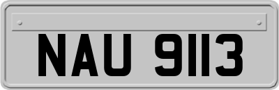 NAU9113