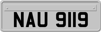 NAU9119