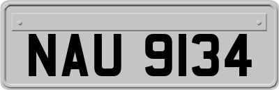 NAU9134