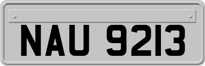 NAU9213