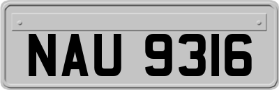 NAU9316