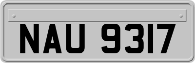 NAU9317