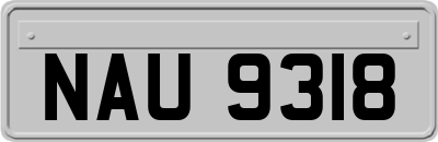 NAU9318