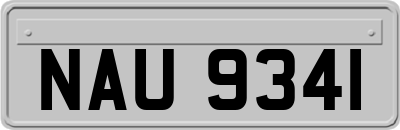 NAU9341