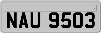 NAU9503