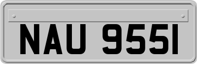 NAU9551