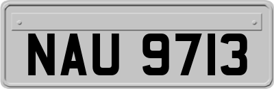 NAU9713