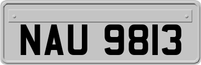 NAU9813