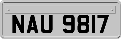 NAU9817