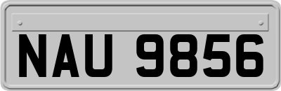 NAU9856