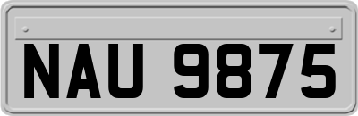 NAU9875