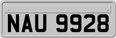 NAU9928