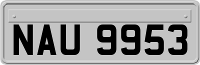 NAU9953