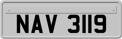 NAV3119