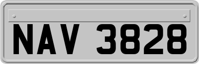 NAV3828