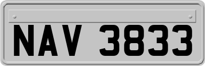 NAV3833