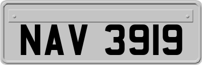 NAV3919