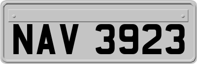 NAV3923