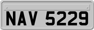 NAV5229