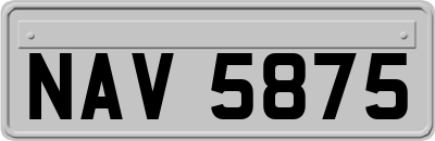 NAV5875