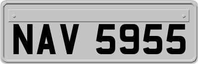 NAV5955