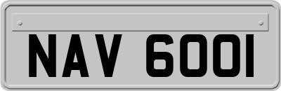 NAV6001