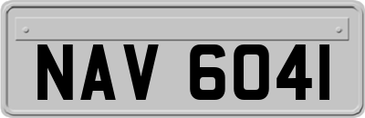 NAV6041