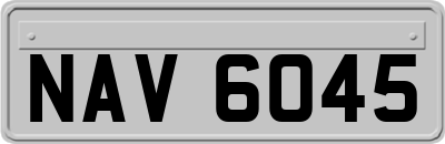 NAV6045