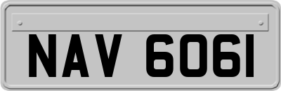 NAV6061