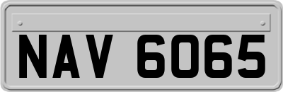 NAV6065