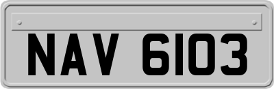 NAV6103