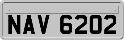 NAV6202