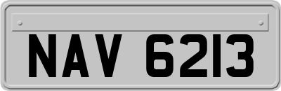 NAV6213