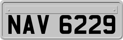 NAV6229