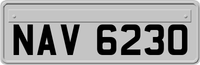 NAV6230