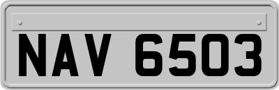 NAV6503