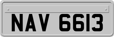 NAV6613