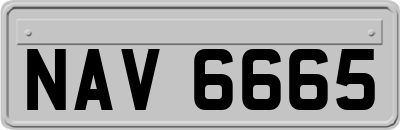 NAV6665