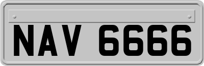 NAV6666