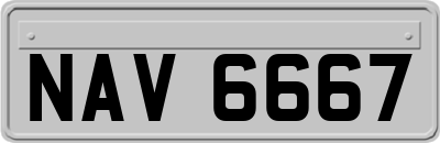 NAV6667