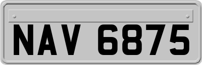 NAV6875