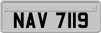 NAV7119