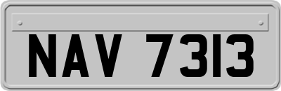 NAV7313