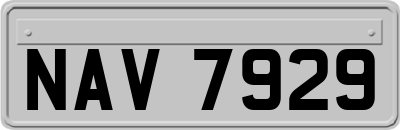 NAV7929