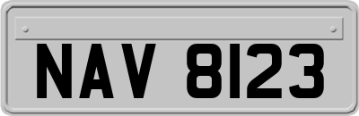 NAV8123