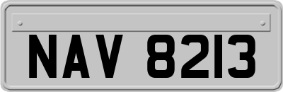 NAV8213