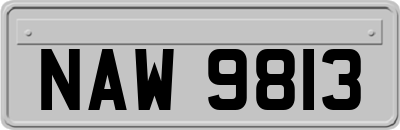 NAW9813