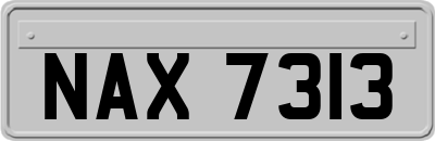 NAX7313